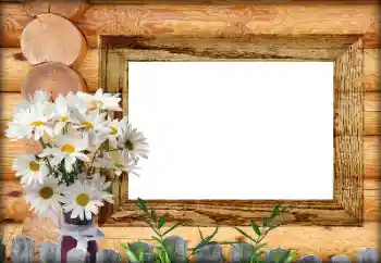 Fotografický efekt z kategorie Různé № 164792