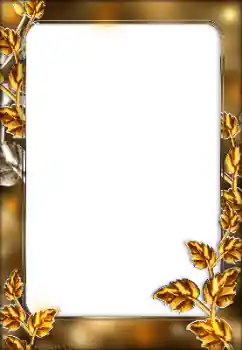 Fotografický efekt z kategorie Různé № 166029