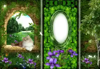 Fotografický efekt z kategorie Různé № 166033