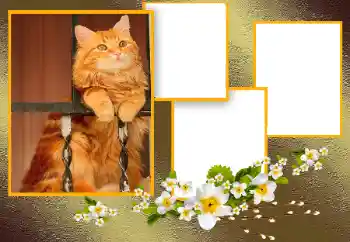 Fotografický efekt z kategorie Různé № 166093