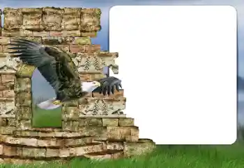 Fotografický efekt z kategorie Různé № 166357