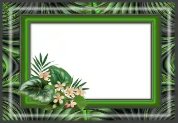 Fotografický efekt z kategorie Různé № 166640