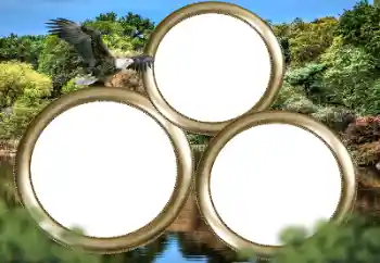 Fotografický efekt z kategorie Různé № 167860