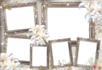 Fotografický efekt z kategorie Různé № 169031