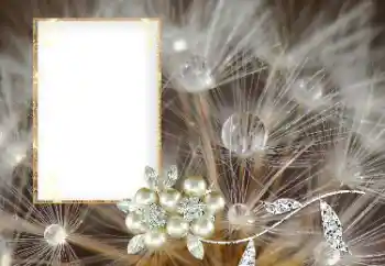 Fotografický efekt z kategorie Různé № 169101