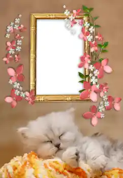 Fotografický efekt z kategorie Různé № 169232