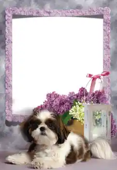 Fotografický efekt z kategorie Různé № 169260