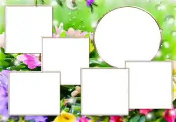 Fotografický efekt z kategorie Různé № 169279