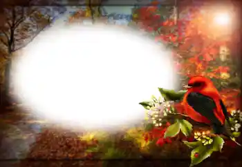 Fotografický efekt z kategorie Různé № 170400