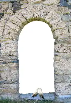 Fotografický efekt z kategorie Různé № 171681