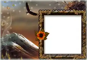 Fotografický efekt z kategorie Různé № 172844