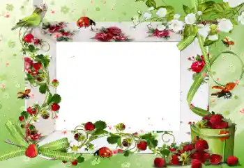 Fotografický efekt z kategorie Různé № 172917