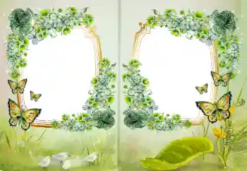 Fotografický efekt z kategorie Různé № 172968