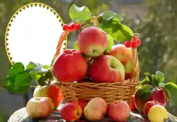 Fotografický efekt z kategorie Různé № 173030