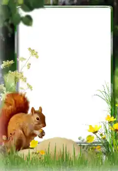 Fotografický efekt z kategorie Různé № 174270