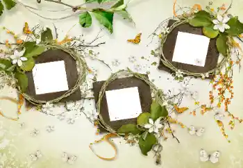 Fotografický efekt z kategorie Různé № 175577