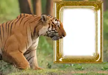 Fotografický efekt z kategorie Různé № 176575