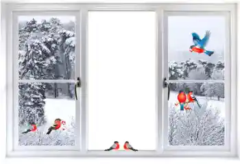 Fotografický efekt z kategorie Různé № 177876