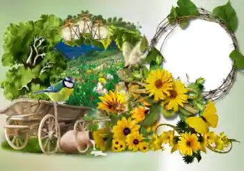 Fotografický efekt z kategorie Různé № 180773