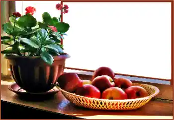 Fotografický efekt z kategorie Různé № 180838