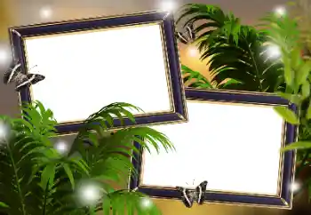 Fotografický efekt z kategorie Různé № 181982