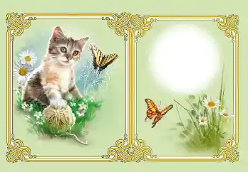 Fotografický efekt z kategorie Různé № 182126