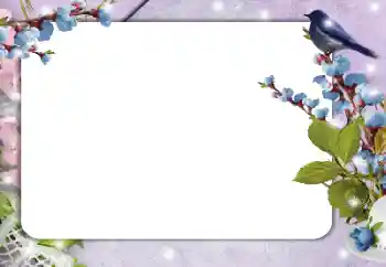 Fotografický efekt z kategorie Různé № 182214