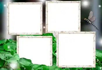 Fotografický efekt z kategorie Různé № 182236