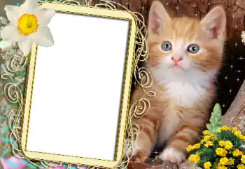 Fotografický efekt z kategorie Různé № 183482