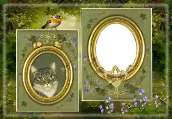 Fotografický efekt z kategorie Různé № 183530