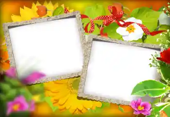 Fotografický efekt z kategorie Různé № 184580