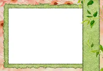 Fotografický efekt z kategorie Různé № 184589