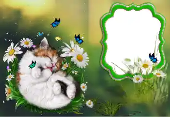 Fotografický efekt z kategorie Různé № 184694