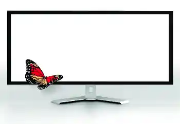 Fotografický efekt z kategorie Různé № 185816