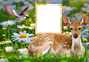 Fotografický efekt z kategorie Různé № 185878