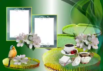 Fotografický efekt z kategorie Různé № 185988