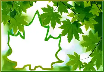 Fotografický efekt z kategorie Různé № 186022