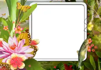 Fotografický efekt z kategorie Různé № 188076