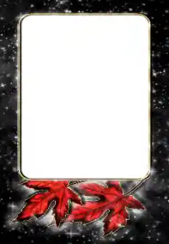 Fotografický efekt z kategorie Různé № 188187