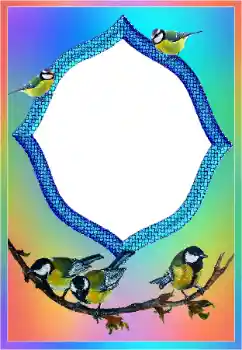 Fotografický efekt z kategorie Různé № 189437