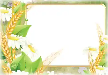 Fotografický efekt z kategorie Různé № 190498