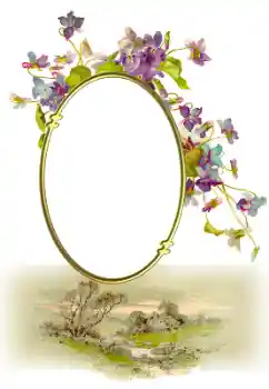 Fotografický efekt z kategorie Různé № 190547