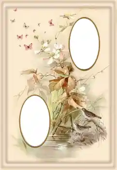 Fotografický efekt z kategorie Různé № 190550