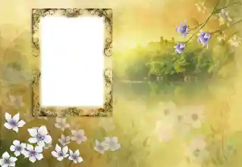 Fotografický efekt z kategorie Různé № 190618