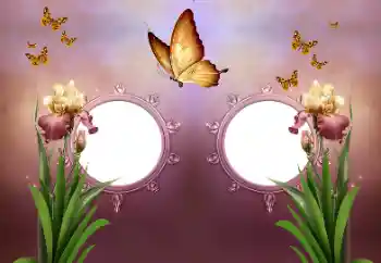 Fotografický efekt z kategorie Různé № 191737