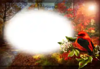 Fotografický efekt z kategorie Různé № 191759