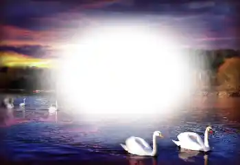 Fotografický efekt z kategorie Různé № 196358