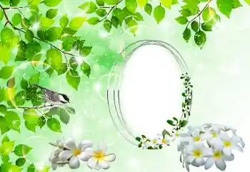 Fotografický efekt z kategorie Různé № 196398