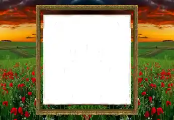 Fotografický efekt z kategorie Různé № 196520