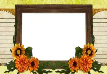 Fotografický efekt z kategorie Různé № 196538